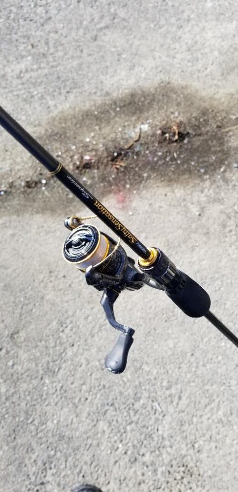 下津 渋くても尺アジGET