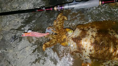 爆風・極寒エギングIN対馬