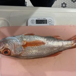 赤ムツ釣り