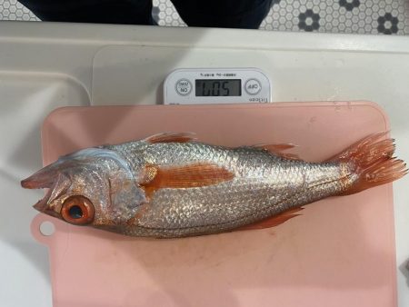 赤ムツ釣り