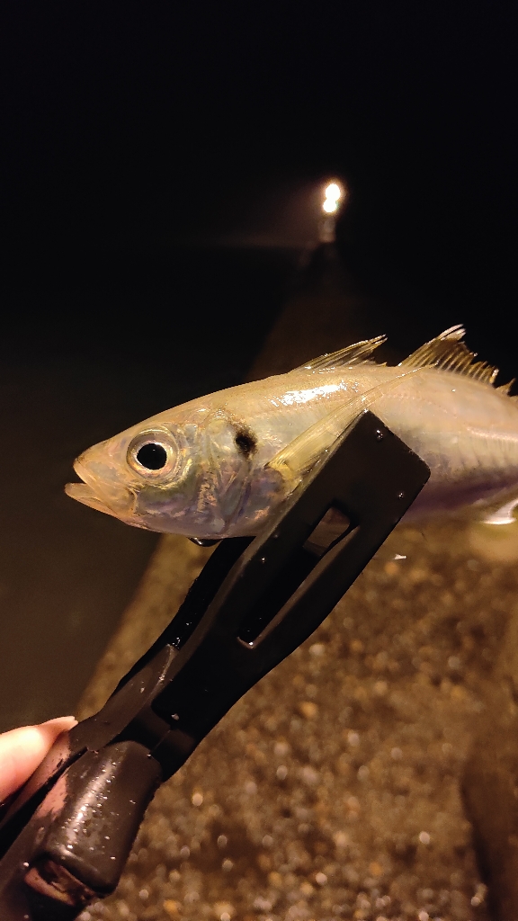 あやしい天気ですが