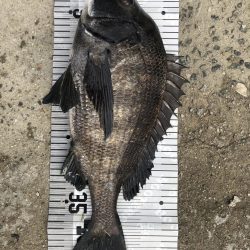 イチノ兄弟（兄）釣果！