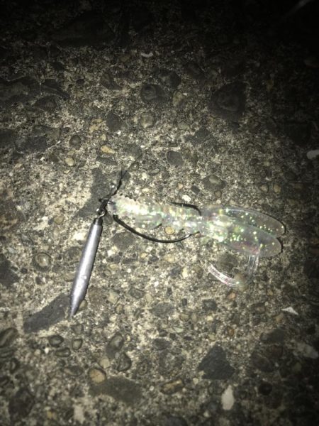 直リグでガシラ5匹GET