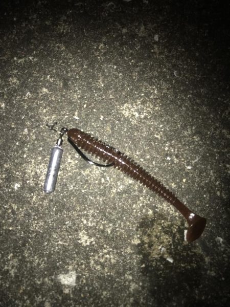 スイングインパクトでガシラ&マゴチGET