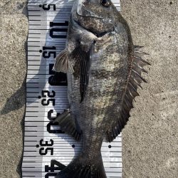 イチノ兄弟（兄）釣果！