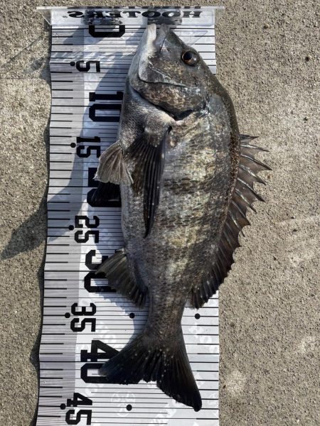 イチノ兄弟（兄）釣果！