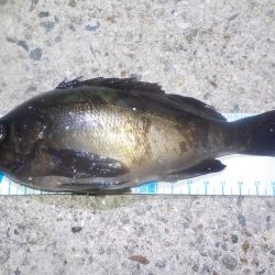 やっぱり　難しいです。