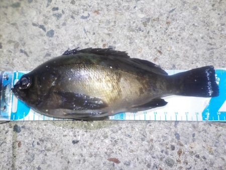 やっぱり　難しいです。