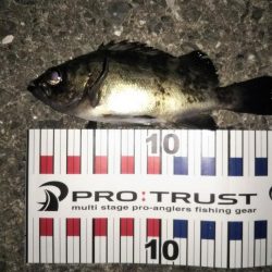 やっぱり月夜はダメ！