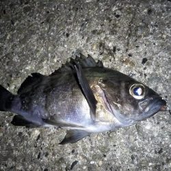 潮が止まるまでの勝負