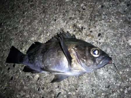 潮が止まるまでの勝負