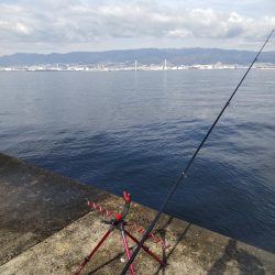 大サバ狙いで大サバと尺鯵！