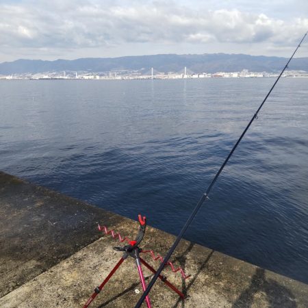 大サバ狙いで大サバと尺鯵！