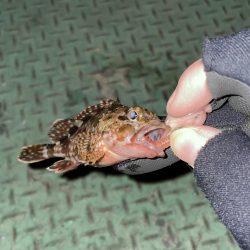 2023年釣りはじめ