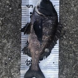 イチノ兄弟（兄）釣果！