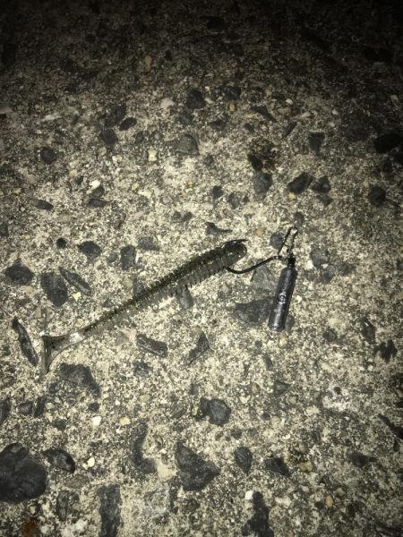 直リグ改良で100発100中ガシラGET