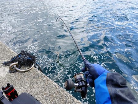 太刀魚ワインド