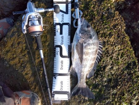 1月　ようやく釣れた