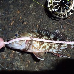 2023/01/09 南港ヘチ釣り釣行