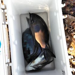 フカセ‥最高ですネ・・