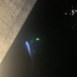 アナゴ釣り（ホテルニューアワジ系列夢泉景別荘　天原）