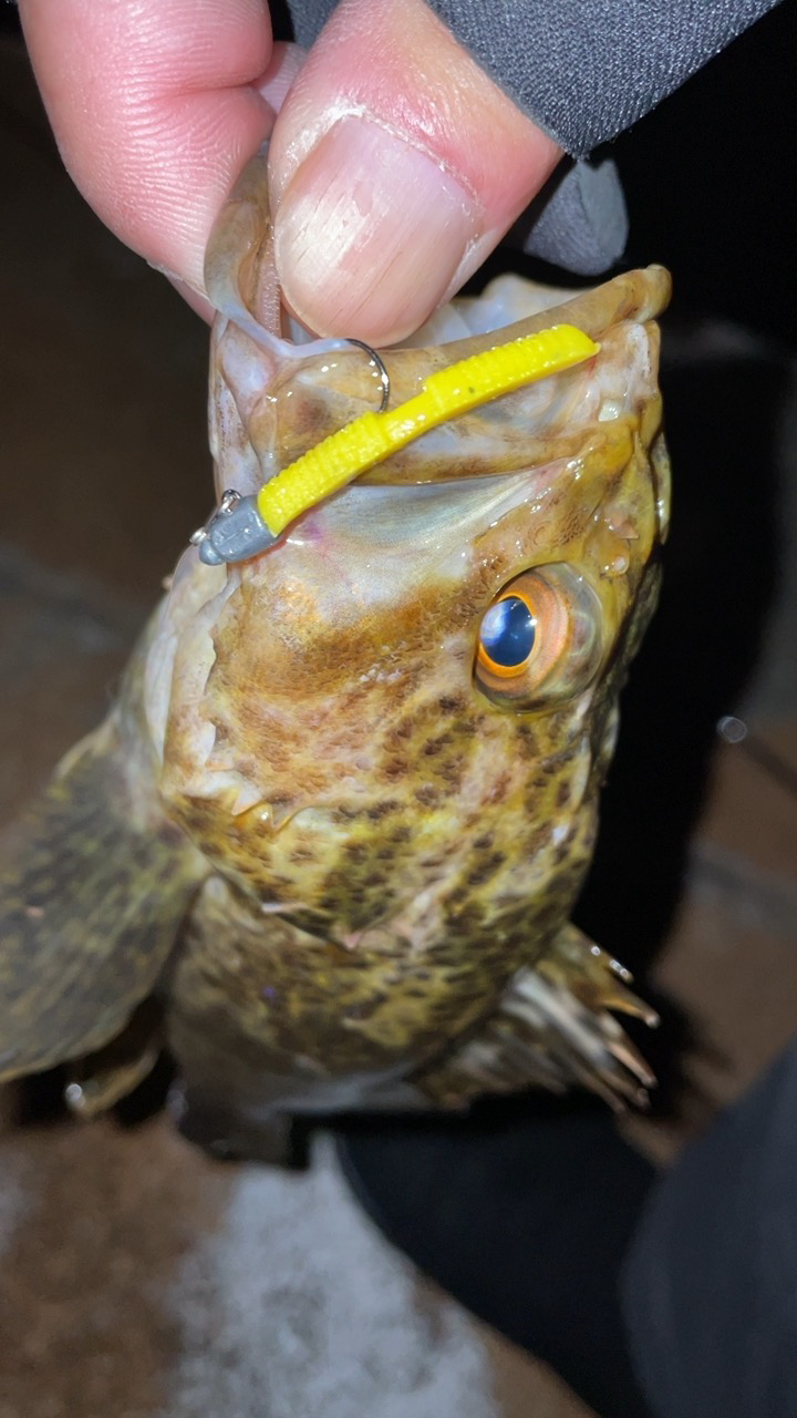 激渋メバリング