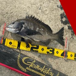 日が上がるとともに釣りスタート