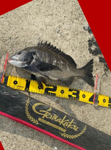 日が上がるとともに釣りスタート