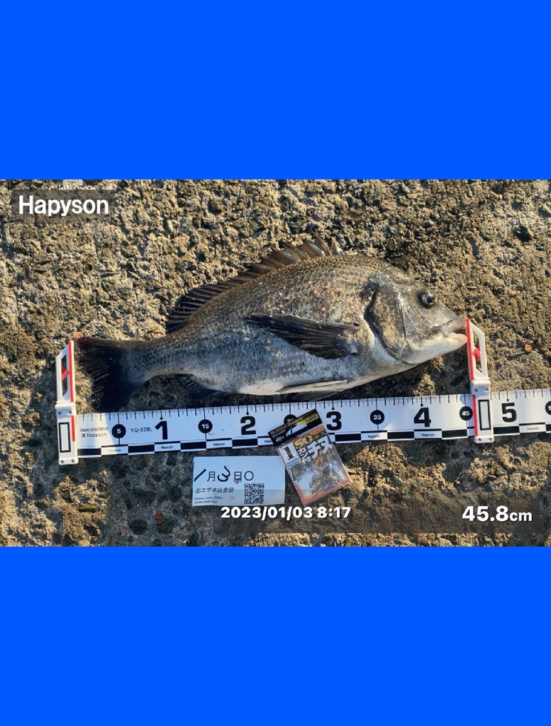 満潮前の時間帯