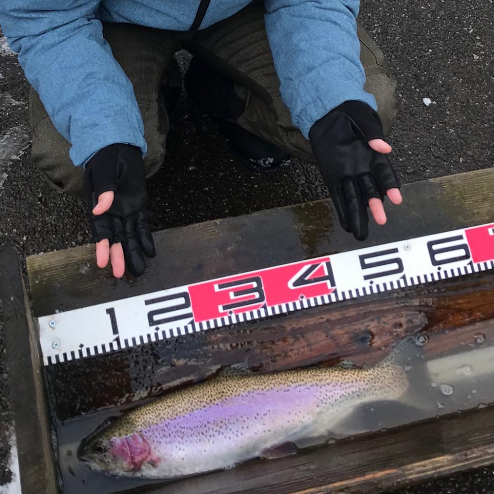 庄原で極寒トラウト