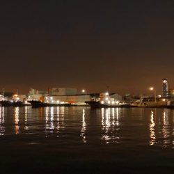 どうした！サイズが上がらない