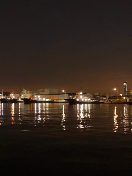 どうした！サイズが上がらない