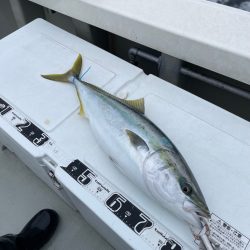 丹後沖ジギング