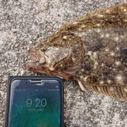 年末年始の釣行記