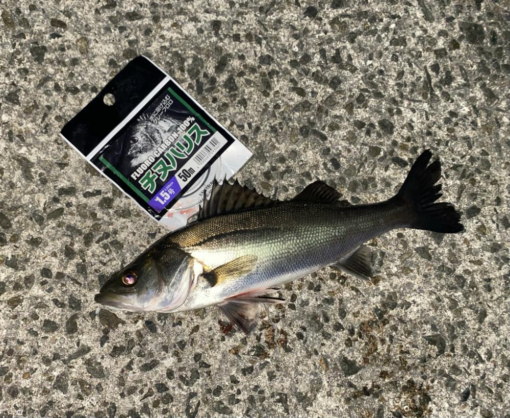 急に水温が下がり