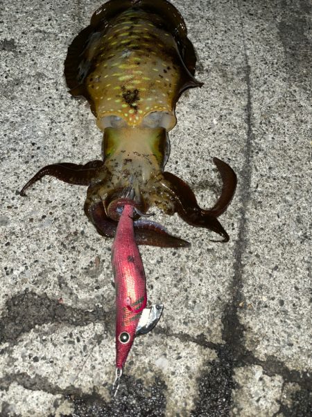 ついにキロアップ！