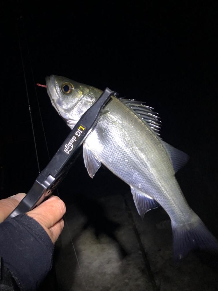 2023年 釣り初め❗️