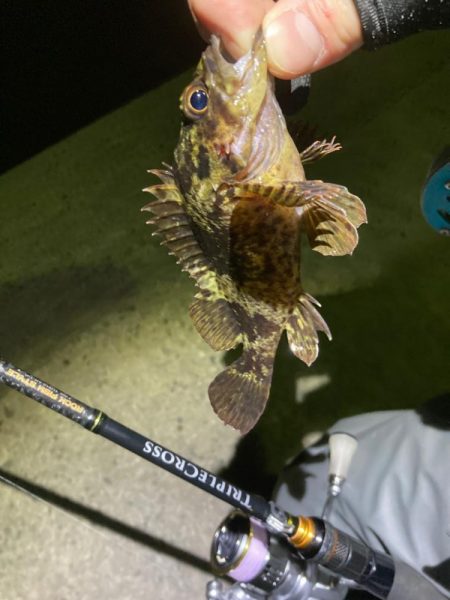 新年！トリプルクロスでライトゲーム！