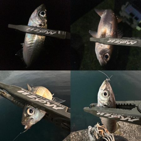 スプリット楽しい〜