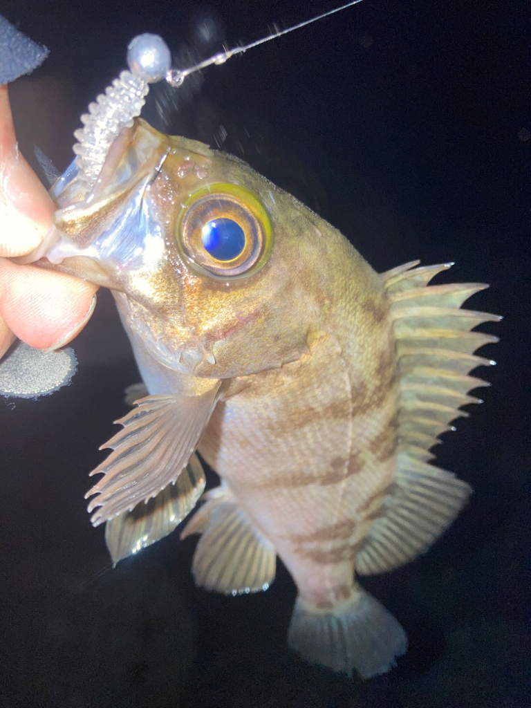 2023ライトゲーム初戦