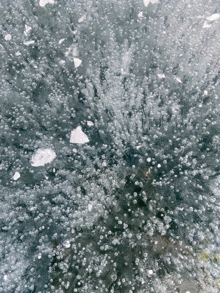 赤城大沼ワカサギ釣り