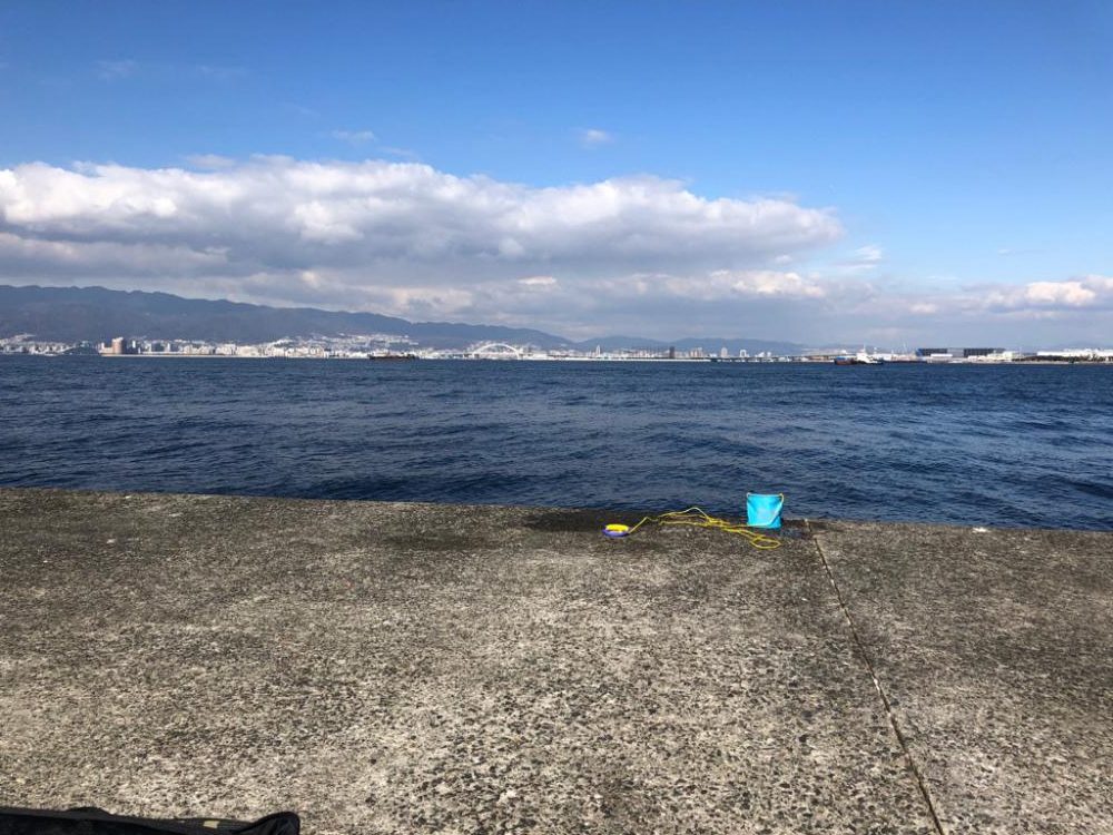 武庫川一文字で大サバを釣りたい