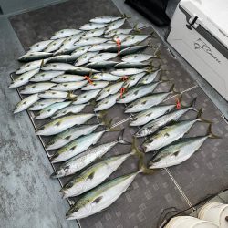 大阪湾ジギング