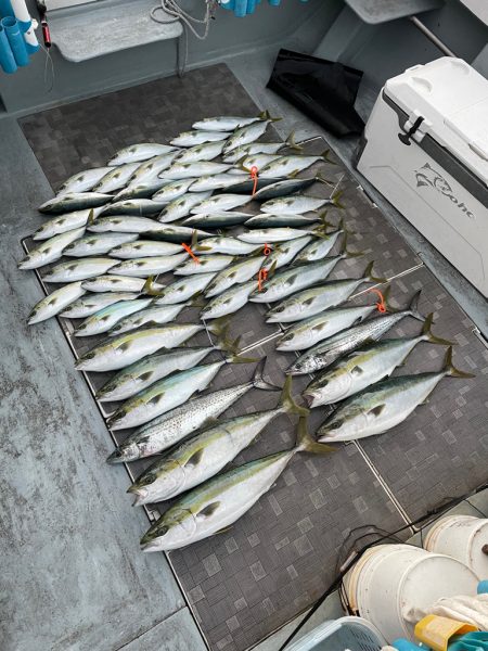 大阪湾ジギング