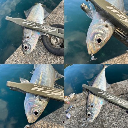 久々のスプリットリグ