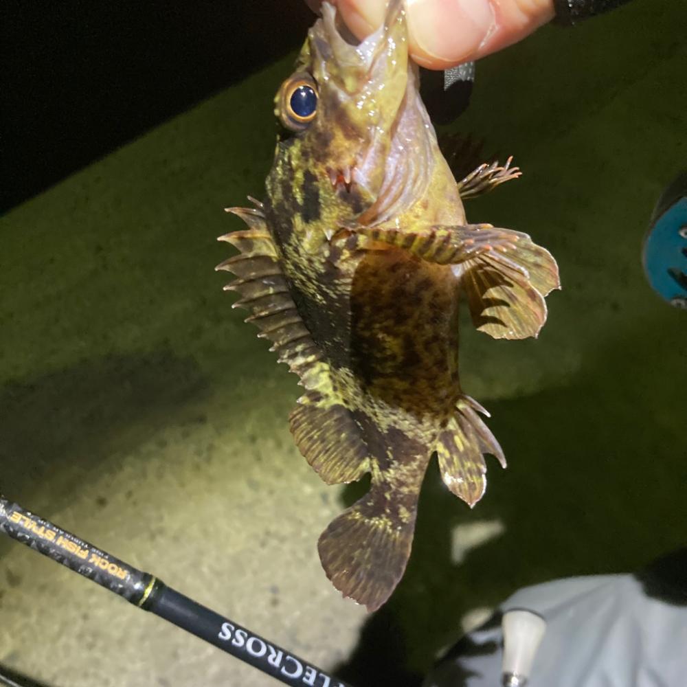 新年初小物釣り!