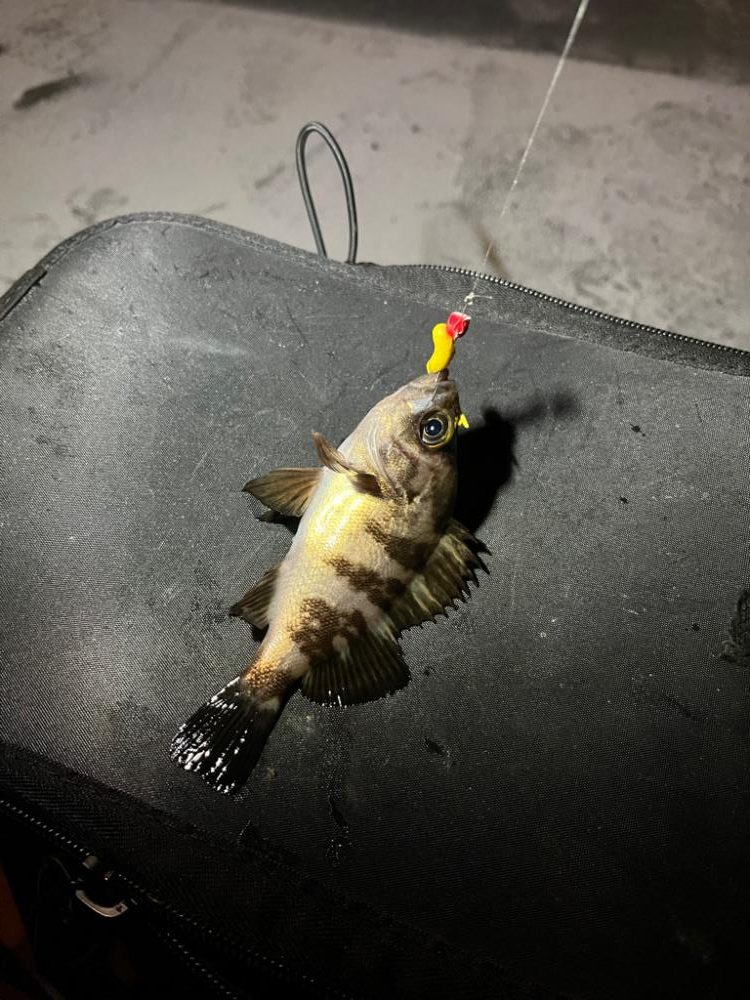 初釣りin四日市