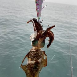 祝ヤリ〜開幕&RT墨つけ