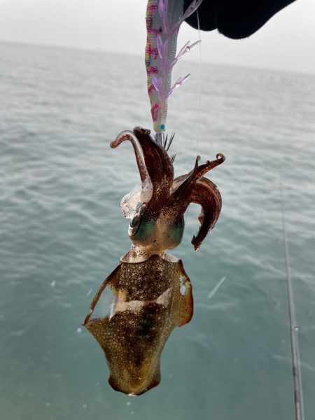 祝ヤリ〜開幕&RT墨つけ