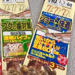 初カレイ初ガシラに初…？？にゃ